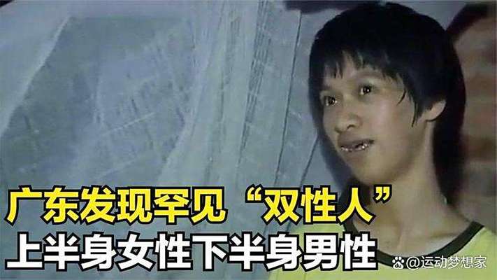 美景之屋2真心影院的相关介绍