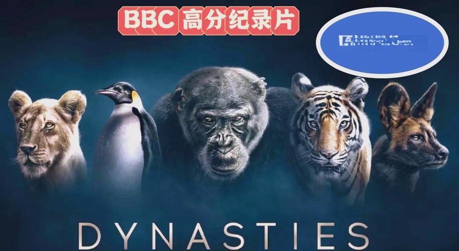 高草毛片无遮挡的相关介绍