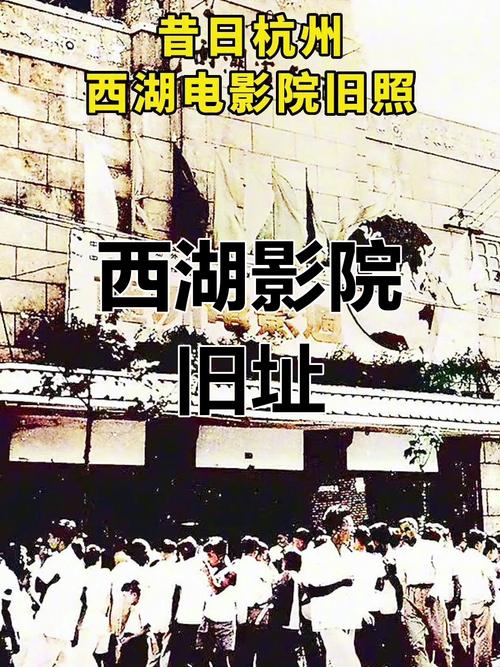 1000部av毛片在线播放的相关介绍