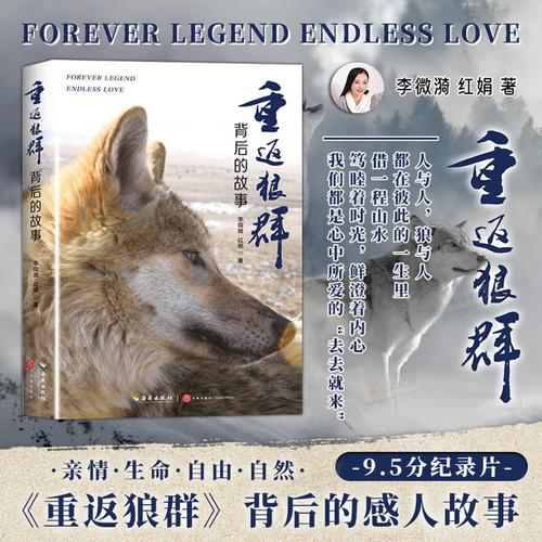 啪啪啪啪.av的相关介绍