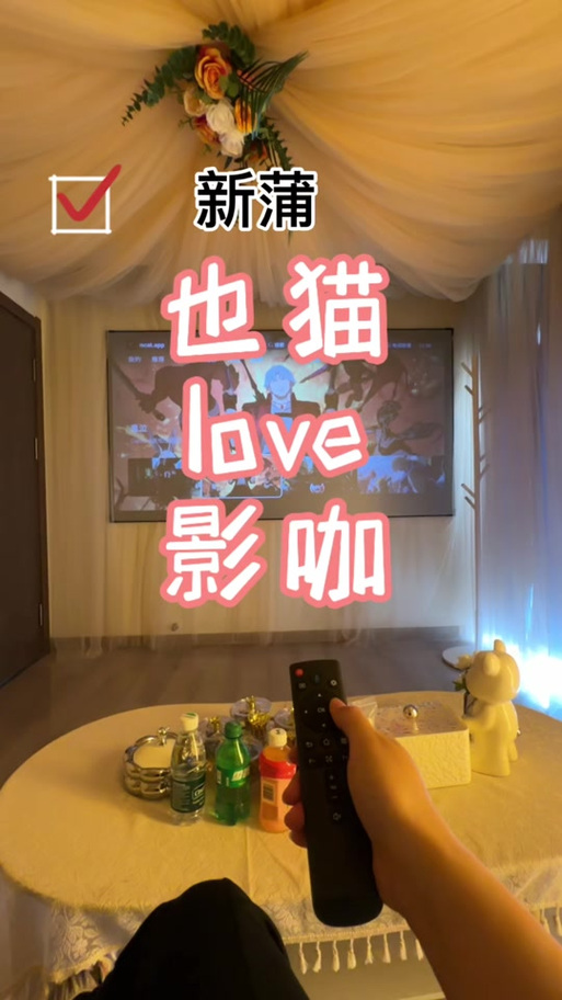 青柠影院的相关介绍