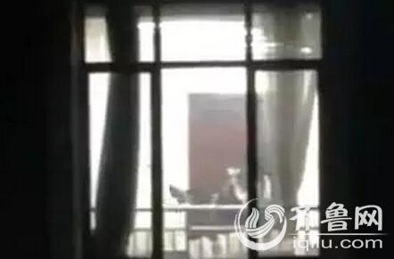 在线有码.人妻的相关介绍
