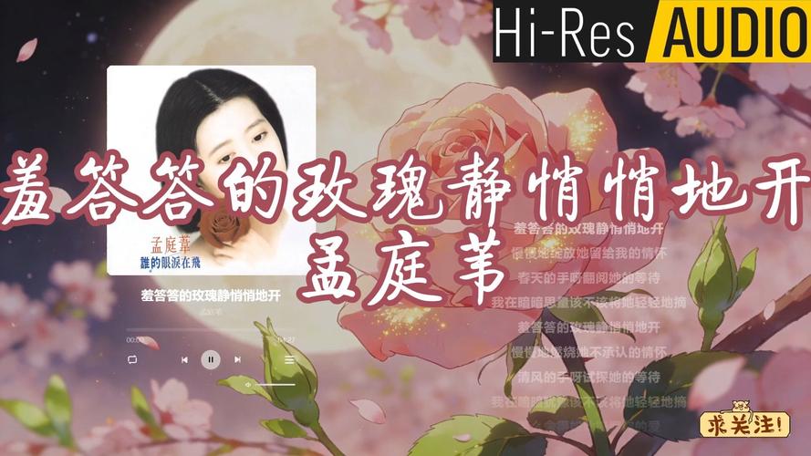 意大利伦理片的相关介绍