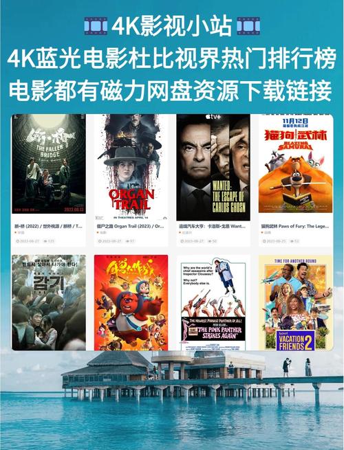 色涩影院的相关介绍