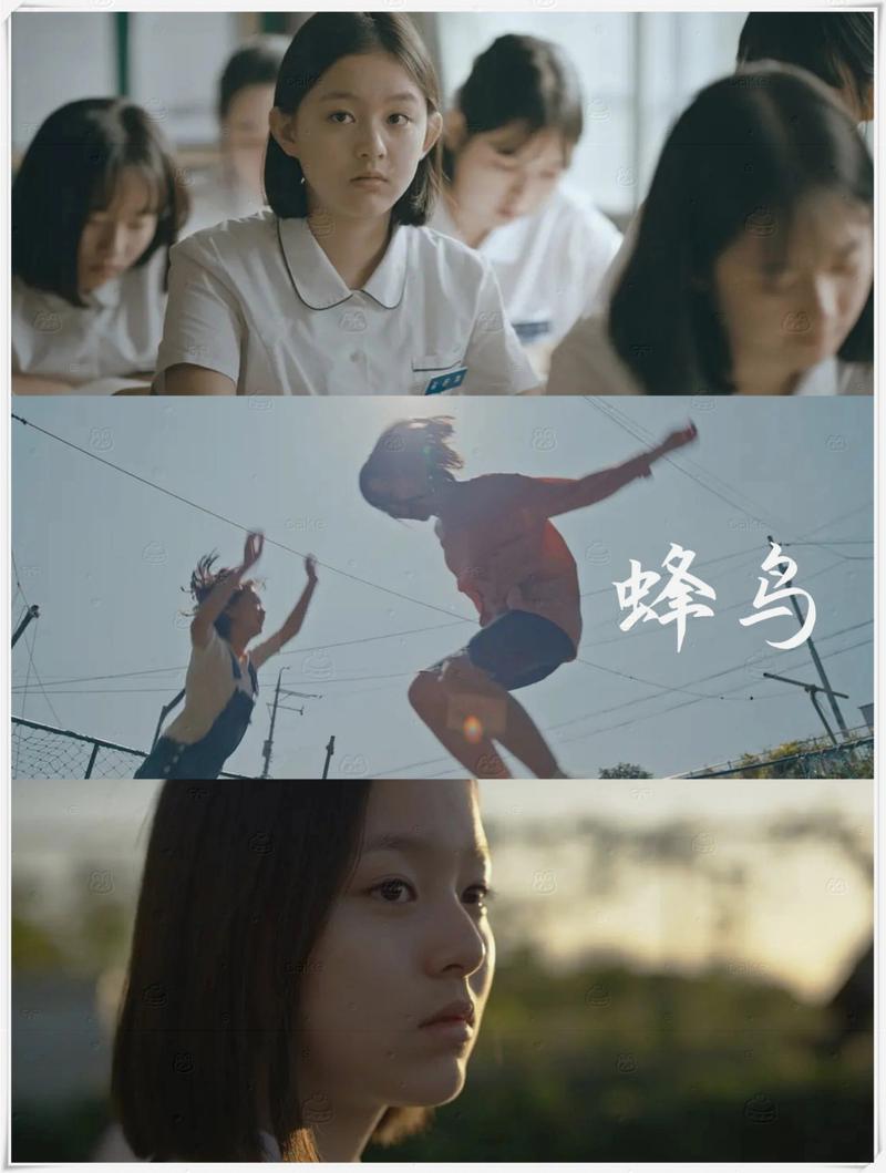 草人影院的相关介绍