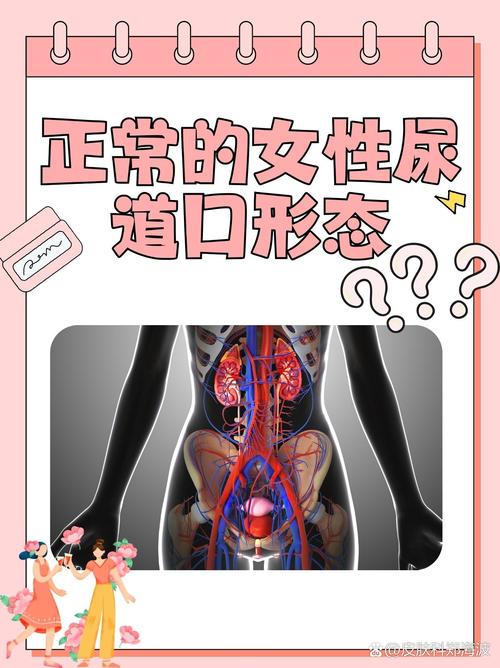 禁18在线免费观看的相关介绍